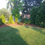 Hedge-Trimming-&-Mulch-Install